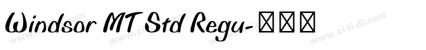 Windsor MT Std Regu字体转换